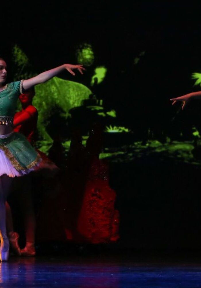 61936815_10161734064740277_1182838730667327488_n