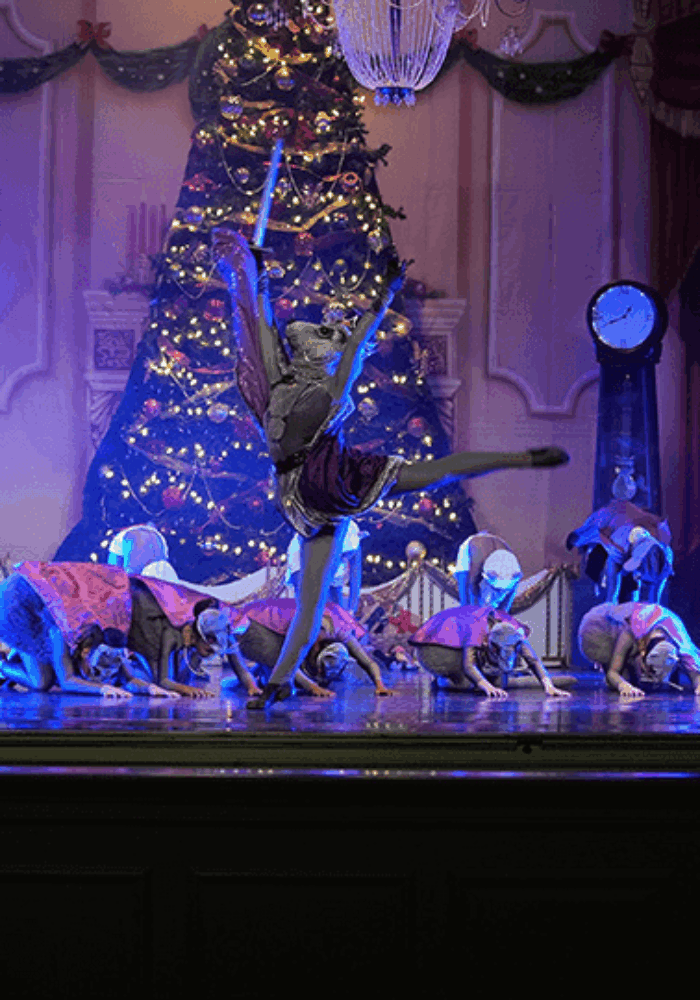 Nutcracker 2022--077.cropng