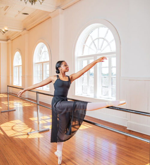 Kaliste barre (1)